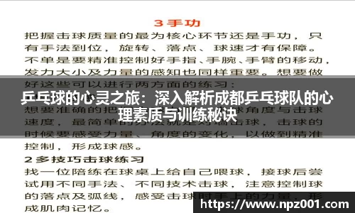 乒乓球的心灵之旅：深入解析成都乒乓球队的心理素质与训练秘诀