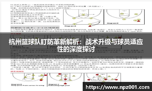杭州篮球队盯防革新解析：战术升级与球员适应性的深度探讨